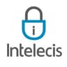 Intelecis - Cybersecurity Company