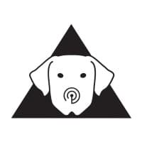 WhiteDog - Cybersecurity Company