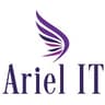 Ariel IT Services - Cybersecurity Company